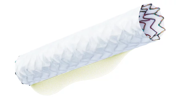 PK Papyrus stent Biotronik