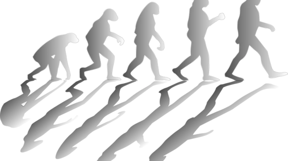 Evolution