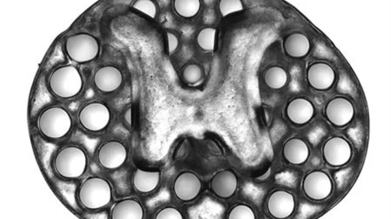 3d_scaffolding_rat_sci_tuszynski.jpg