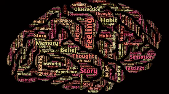 brain