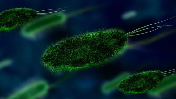 germs
