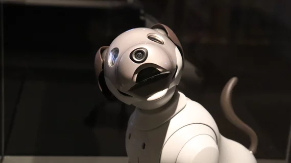 Robot Dog