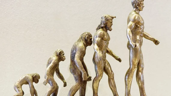 Evolution