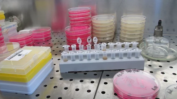 Lab