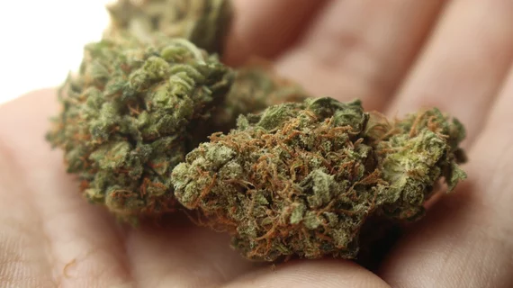 weed-2517251_960_720.jpg