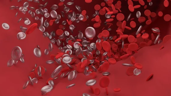 Blood