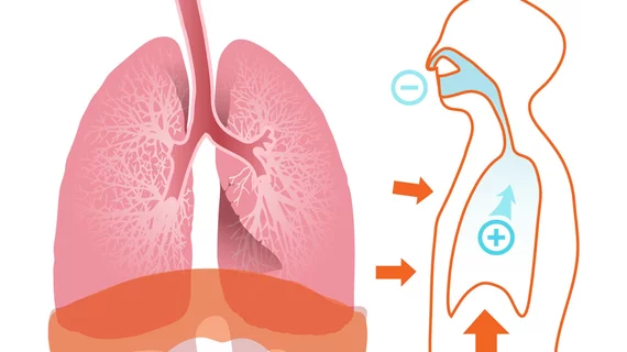 Lungs