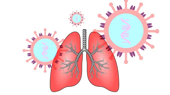 Lung