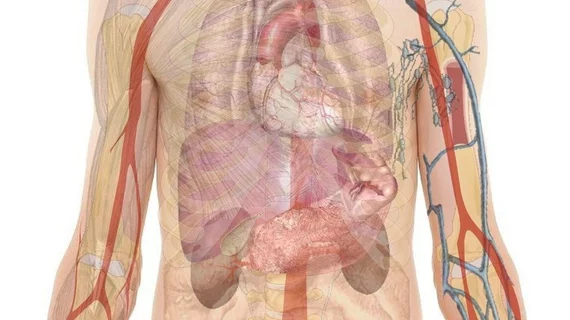 Organs
