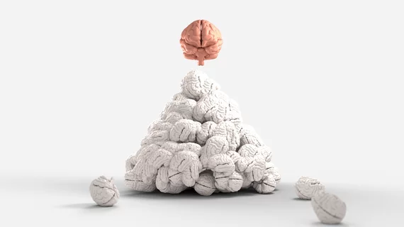 Brain