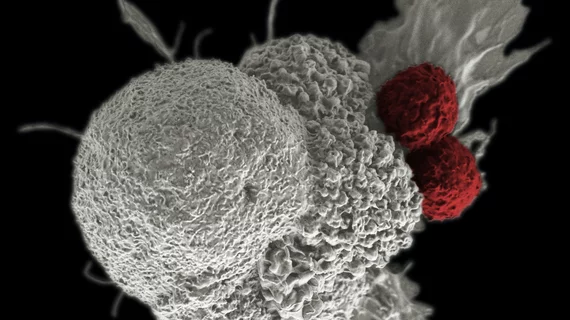 cancer_immunotherapy.jpg
