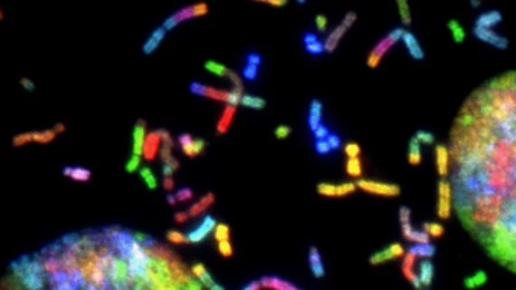 cancer_chromosomes.jpg
