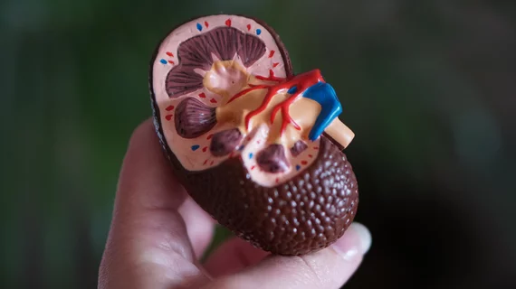 kidney.jpg