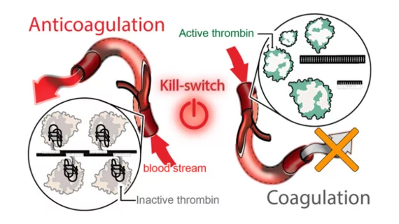 anticoagulation UNC Charlotte RNA DNA 