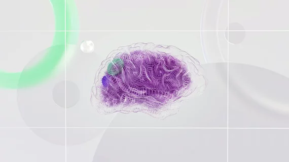 brain.jpg