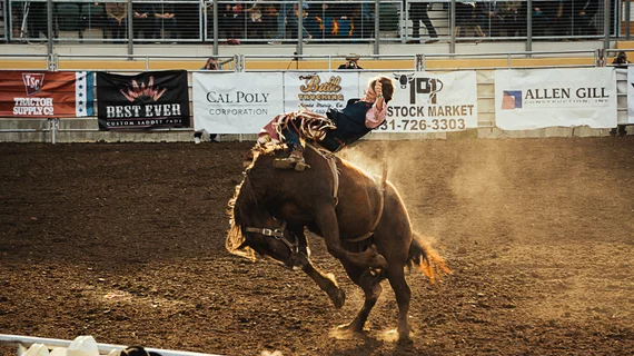 bucking_horse_rodeo.jpg