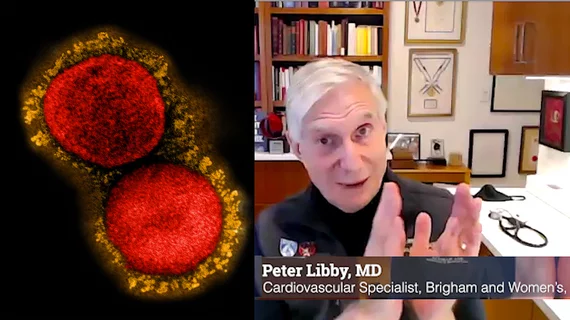 Peter Libby, MD, a cardiovascular medicine specialist, Brigham and Women’s Hospital, and Mallinckrodt Professor of Medicine, Harvard Medical School, explains his research into COVID and how damages the endothelium on blood vessels. #AHA #AHA22 #SARSCoV2 #Coronavirus #COVID
