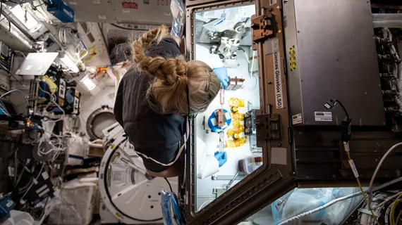 NASA astronaut Kate Rubins conducts research for the Effect of Microgravity on Drug Responses Using Engineered Heart Tissues (Cardinal Heart) investigation onboard the International Space Station, one of several cardiovascular experiments on the ISS in recent years. Two more cardiac experiements launched to the ISS in March 2023. NASA Image