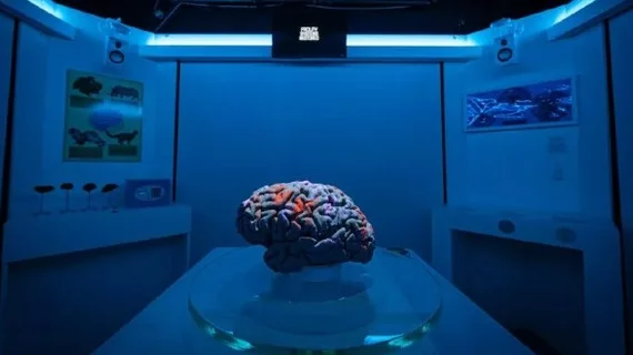 MRI-themed escape room University of Oxford