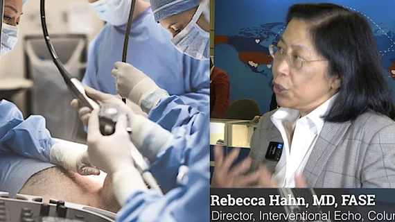 Video of Rebecca Hahn, MD, explains the roles and economics of interventional echocardiographers. #ASE #ASE23 #Structuralheart #echofirst