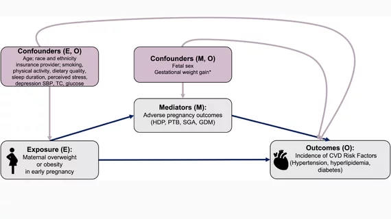 Direct acyclic graph representing a causal structural model of mediation of the association between obesity in early pregnancy and cardiovascular disease (CVD) risk factors after delivery. E indicates exposure; GDM, gestational diabetes; HDP, hypertensive disorders of pregnancy; M, mediators; O, outcome; PTB, preterm birth; SBP, systolic blood pressure; SGA, small-for-gestational-age birth; and TC, total cholesterol. *Variable included in sensitivity analysis.