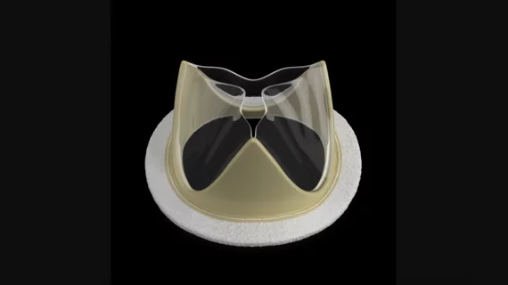 Foldax Tria mitral valve