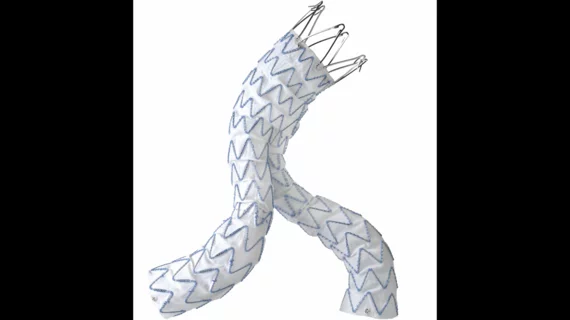 Endurant stent graft system labeling