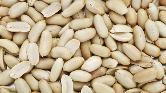 Eating unsalted peanuts improves the brain's vascular health