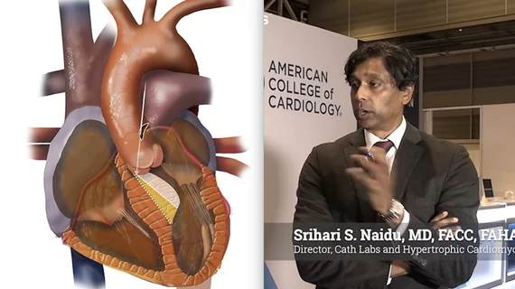Srihari S. Naidu, MD, FACC, FAHA, MSCAI, director of cath labs and hypertrophic cardiomyopathy, Westchester Medical Center, explains concerns about the possible loss of expertise in surgical myectomy and interventional alcohol septal ablation as the procedure volumes to treat hypertrophic cardiomyopathy (HCM) due to the introduction of new drug therapies.