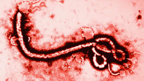 Ebola Thumbnail